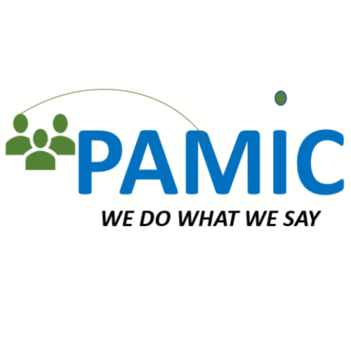 Pamic Limited